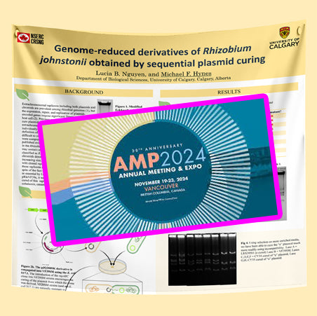 Vancouver Conference Poster - AMP 2024