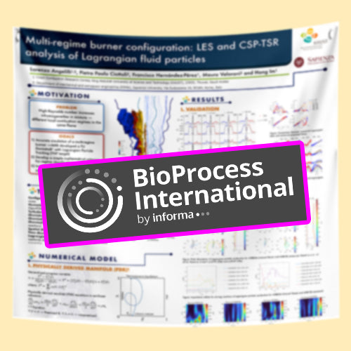 BPI Poster - US Conference Poster - (US NorthEast Poster - Boston Poster - Massachusetts Poster)
