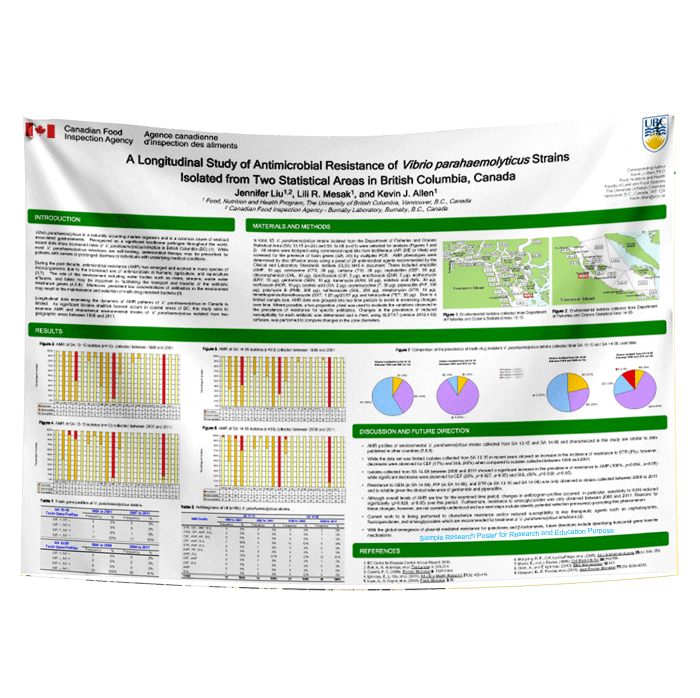 Van Research Poster Med. metric A0 (33x47) - Paper/Fabric $60/70