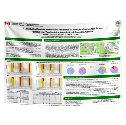 2-3 Day ECONO Research Poster metric A0 (33x47) - Paper/Fabric (Van)