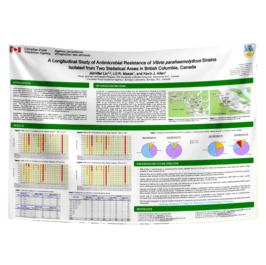 Acoustics Week in Canada/ASA 2024 Research Poster 72x48 in - Fabric - Paper