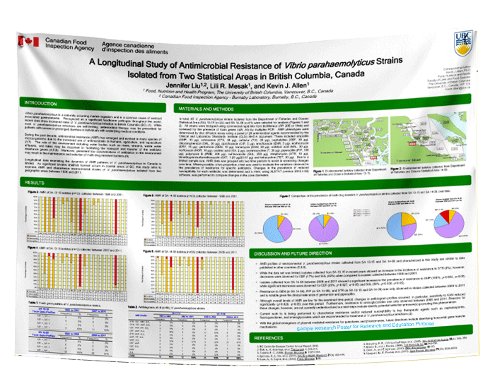 Fabric Research Poster (Small - 24 x 36) .