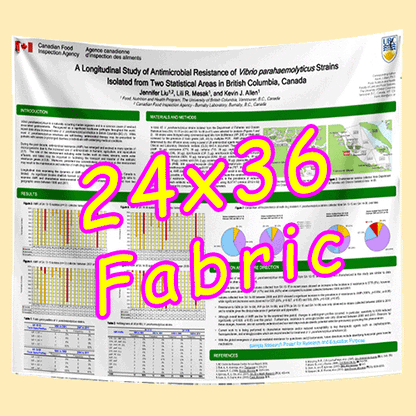 Fabric / Paper Research Poster Printing in Canada 24x36