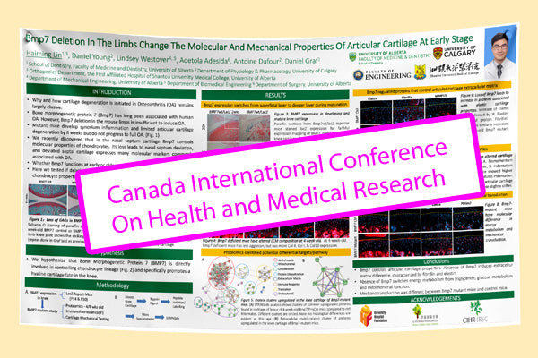 CICHMR 2025 Calgary Conference Research Poster A0-33x47 $70