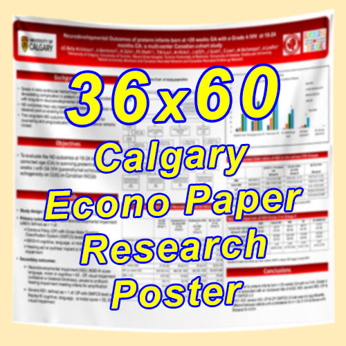 Cheapest Econo Research Poster Printing in Calgary (36x60 Medium Wt. Poster Paper) from $50