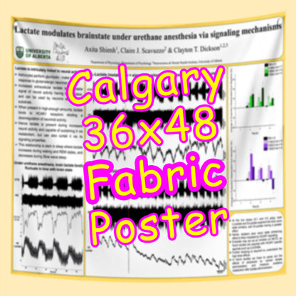 Cheapest Advance Order Fabric Research Poster Printing in Calgary 36x48 from $70