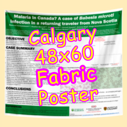 Cheapest Advance Order Fabric Research Poster Printing in Calgary 48x60 from $110