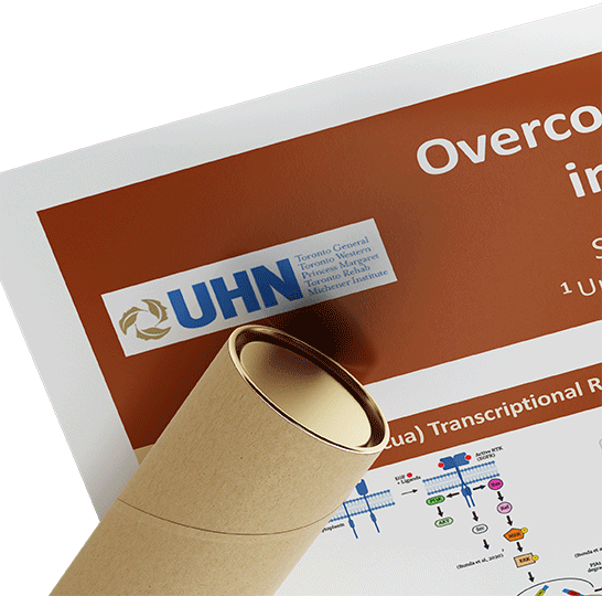 Cheapest UHN $110 (48x60) Fabric Research Poster for University of Toronto