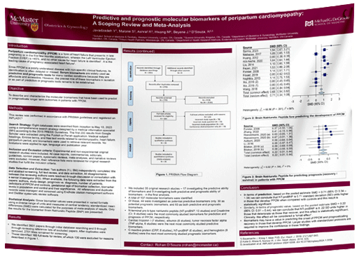 McMaster University Research Paper & Fabric Poster $90 (48x48)