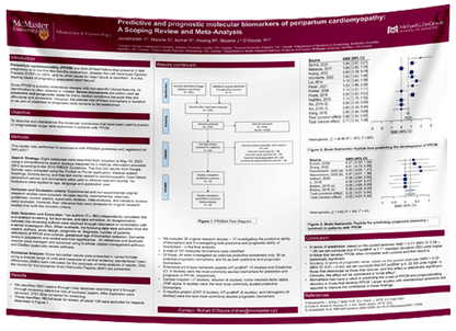 McMaster University Research Paper & Fabric Poster $90 (48x48)