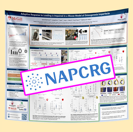 Quebec Research Poster - NAPCRG