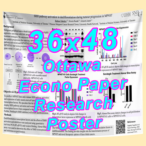 Cheapest Econo Research Poster Printing in Ottawa (36x48 Medium Wt. Poster Paper) from $40