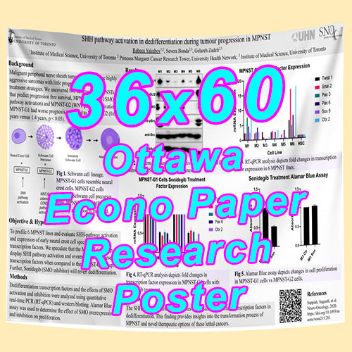Cheapest Econo Research Poster Printing in Ottawa (36x60) Medium Wt. Poster Paper) from $50