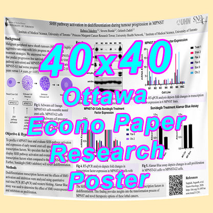 Cheapest Econo Research Poster Printing in Ottawa (40x40 Medium Wt. Poster Paper) from $55