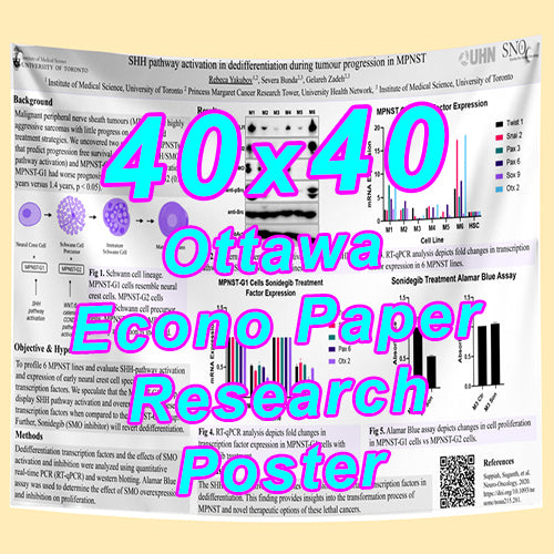 Cheapest Econo Research Poster Printing in Ottawa (40x40 Medium Wt. Poster Paper) from $55