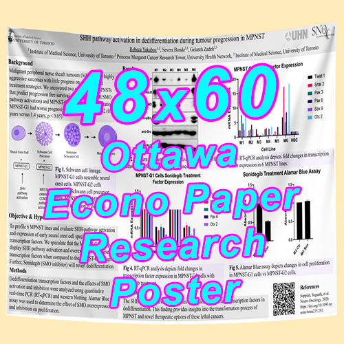 Cheapest Econo Research Poster Printing in Ottawa (48x60 Medium Wt. Poster Paper) from $80