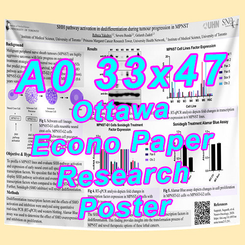 Cheapest Econo Research Poster Printing in Ottawa (A0 33x47 Medium Wt. Poster Paper) from $40