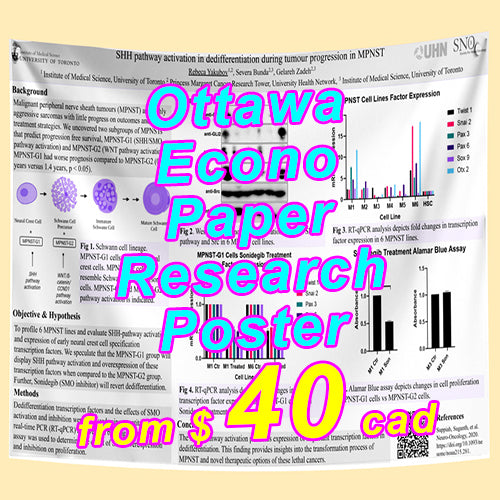 Cheapest Ottawa Econo Paper Conference Research Poster from $40