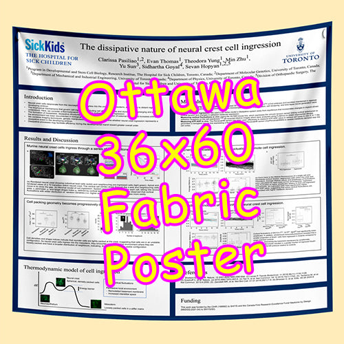 Cheapest Paper / Fabric Research Poster Printing in Ottawa 36x60 from $90