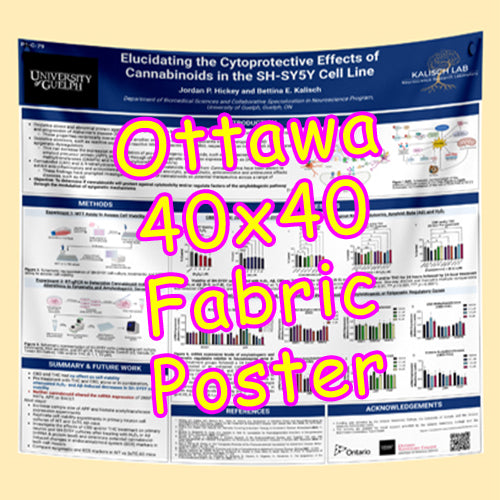 Cheapest Advance Order Fabric Research Poster Printing in Ottawa 40x40 from $80