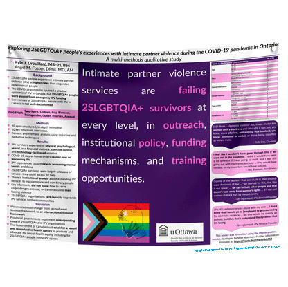 2-3 Days Standard Research Poster - Large (48x60) - Paper/Fabric $100/110 (Van)