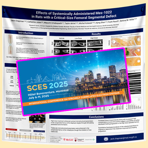 SCES 2025 Fabric / Paper Conference Poster Montreal (36x48) from $70