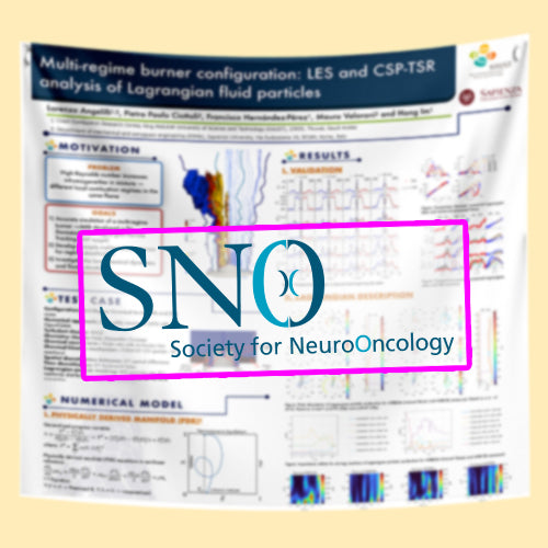 SNO Scientific Conference Research Poster, (48x72 $85 Discounted US Fabric / Paper Boston Research Poster)