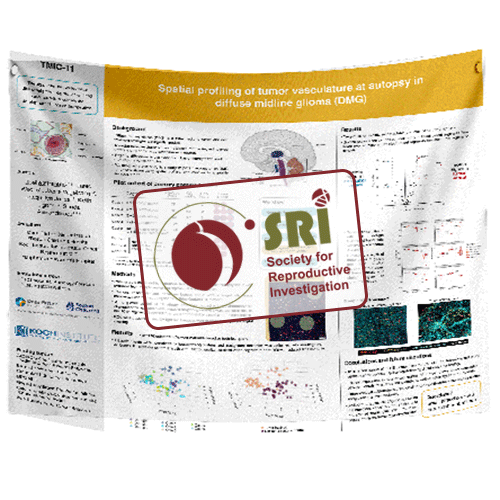 SRI Research Poster metric A0 (33x47) - SRI 2024