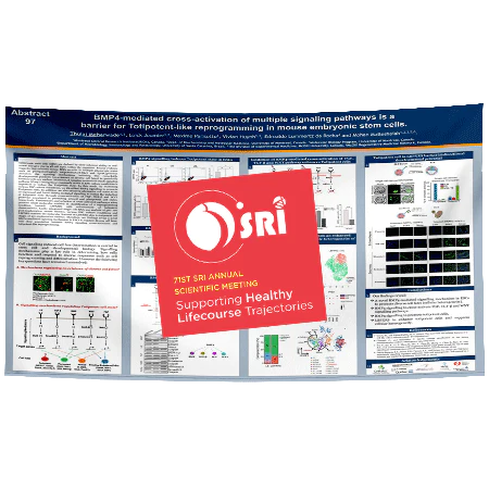 v28-tm-SRI Poster-Rush-VCC