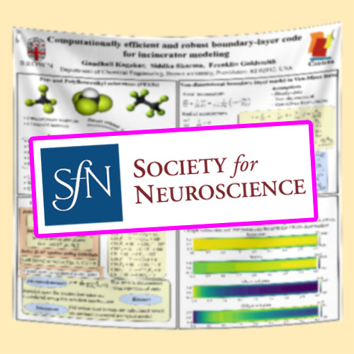 SfN Scientific Conference Research Poster, (48x72 $85 Discounted US Fabric / Paper Scientific Poster - Washington DC)