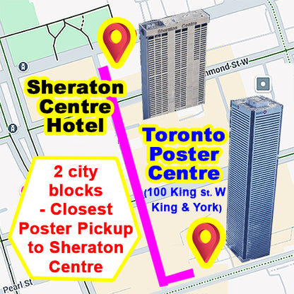 Research Poster for Sigma Nursing Congress Toronto - (48x96 $130 cad / $91 usd)