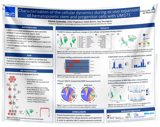 WMIC 2024 Montreal Research Paper / Fabric Poster $70 (A0-33x47)