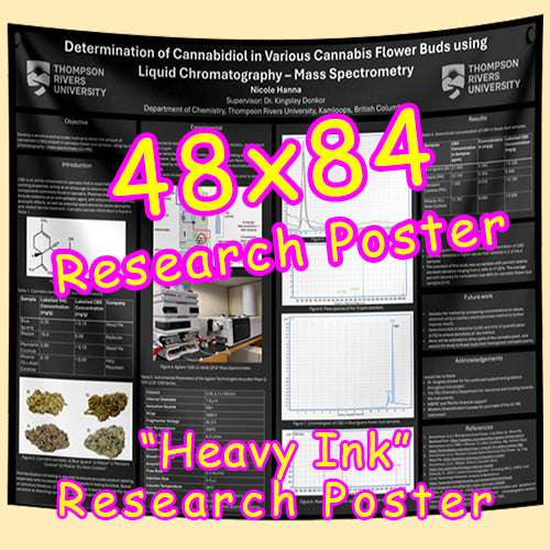 Cheapest Vancouver Fabric / Paper Research Poster 48x84 from $126