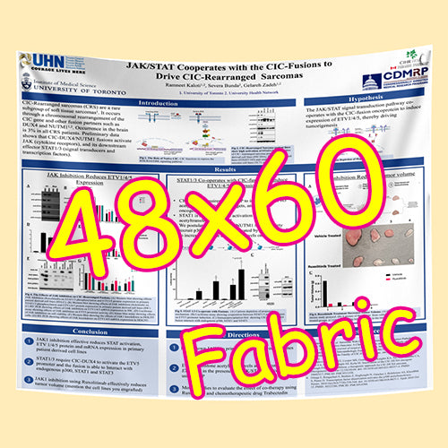Cheapest Fabric Research Poster Printing in Toronto 48x60 from $100