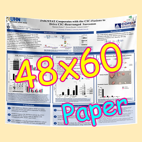 Cheapest Paper Research Poster Printing in Toronto 48x60 from $85