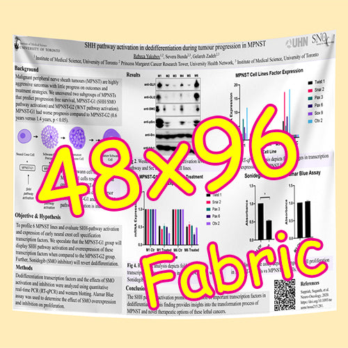 Cheapest Fabric Research Poster Printing in Toronto 48x96 from $160