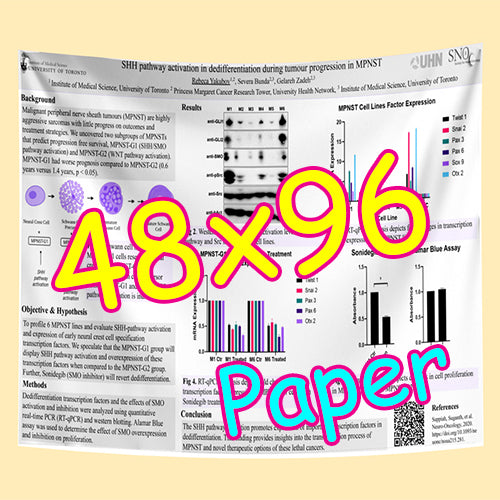 Cheapest Paper Research Poster Printing in Toronto 48x96 from $130