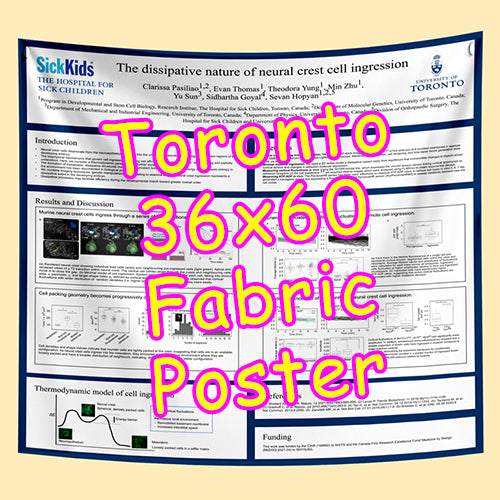 Cheapest Fabric Research Poster Printing in Ottawa 36x60 from $80