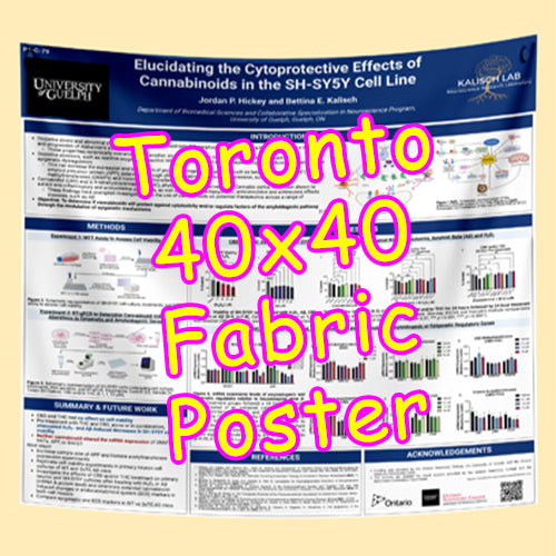 Cheapest Fabric Research Poster Printing in Toronto 40x40 from $75
