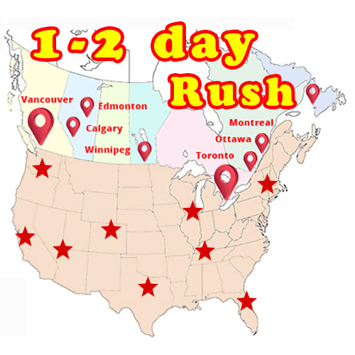 Research Poster 1-2 Days Overnight Rush Shipping