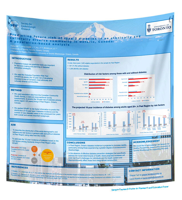 Ontario / Toronto Fabric / Paper Research Poster $90 (45x45) Exp.