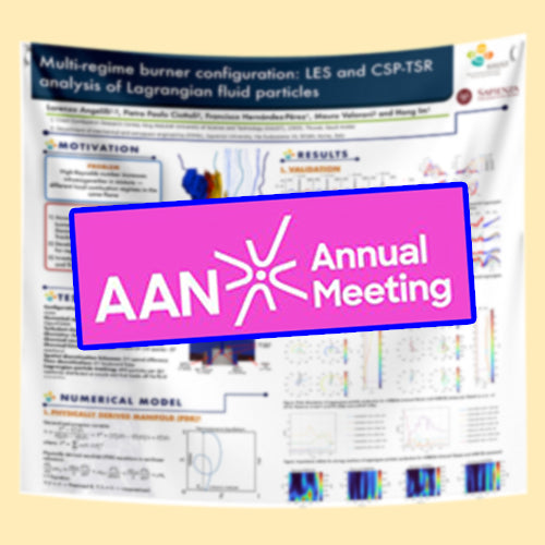 US AAN Scientific Conference Research Poster, (48x96 $115) Cheapest US Fabric / Paper Research Poster 