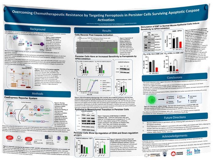 BC Cancer Research Paper & Fabric Poster - $110 (48x60)