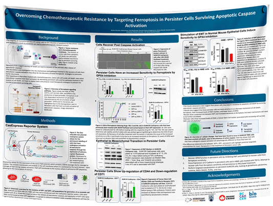 BC Cancer Research Paper & Fabric Poster - $110 (48x60)