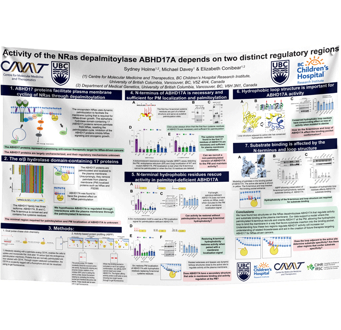 BCCHR Research Paper & Fabric Poster - $110 (48x60) Vancouver