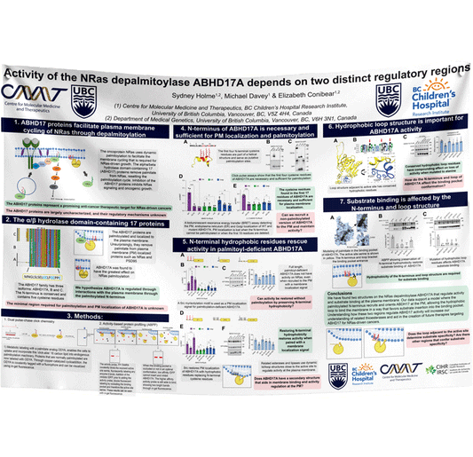 BCCHR Research Paper & Fabric Poster - $110 (48x60) Vancouver