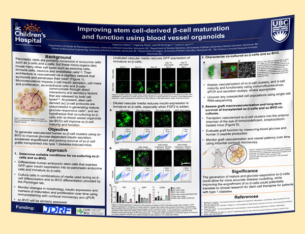 Vancouver General Hospital (VGH) Research Paper & Fabric Poster - 48x36