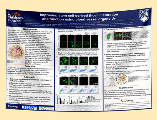 Vancouver General Hospital (VGH) Research Paper & Fabric Poster - 48x36