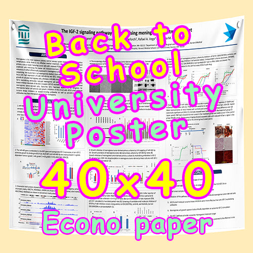 ECONO Back to school University Poster - Research Poster (ECONO Paper 40X40 from $50)
