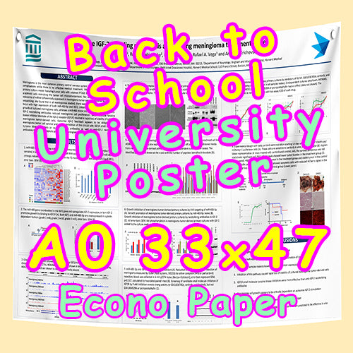 ECONO Back to school University  Poster - Research Poster (ECONO Paper A0 33x47 from $30)